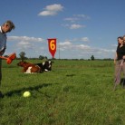 Boerengolf bij Hof van Schaayk